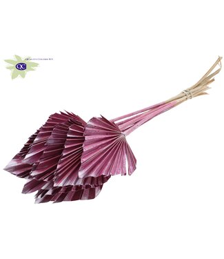 QC Palm Spear per stem Metallic Pink | Per 50 stuks