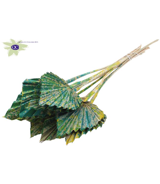 Palm Spear per stem Multicolour Green ( x 50 )