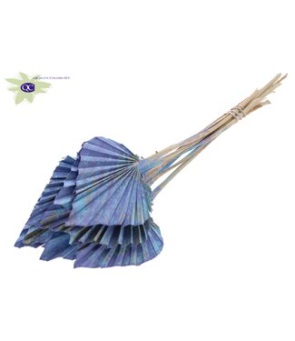 QC Palm Spear per stem Multicolour Light Blue | Per 50 stuks