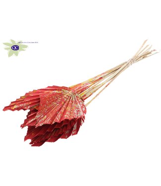 QC Palm Spear per stem Multicolour Red | Per 50 stuks