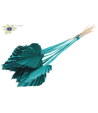 QC Palm Spear per stem Turquoise | Per 50 stuks