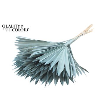 QC Matt light blue dried palm leaf | Sun Spear dried flowers | Per 50 pieces