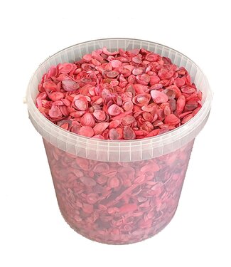 QC Rote Muscheln aus der Nordsee | Mischung aus rot gefärbten Muscheln | 10 Liter pro Eimer | Pro Eimer