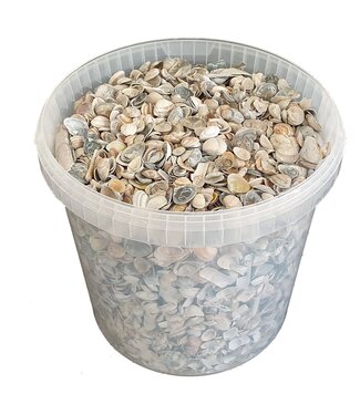 QC Matte blue shells from the North Sea | Mix of matte blue painted shells | 10 litres per bucket | Per bucket