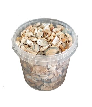 QC Coquillages naturels de la mer du Nord | Mélange de coquillages naturels | 1 litre par seau | Par 6 seaux