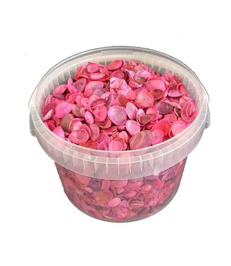 QC Orange shells from the North Sea | Mix of orange-painted shells | 1 litre per bucket | Per 6 buckets