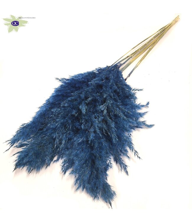 Dark blue Pampas grass panicles | 5 panicles per bunch | Length 100 centimetres | Order per 10 bunches