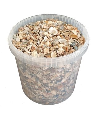 QC Natürliche Muscheln aus der Nordsee | Mischung aus natürlichen Muscheln | 10 Liter pro Eimer | Pro Eimer