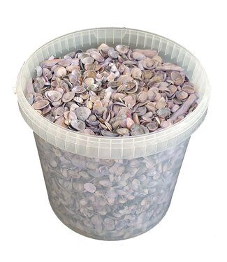 QC Coquillages mauve-lait de la mer du Nord | Mélange de coquillages peints en mauve-lait | 10 litres par seau | Par seau