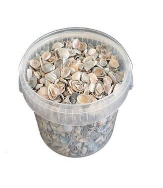 QC Coquillages bleus mats de la mer du Nord | Mélange de coquillages peints en bleu mat | 1 litre par seau | Par 6 seaux