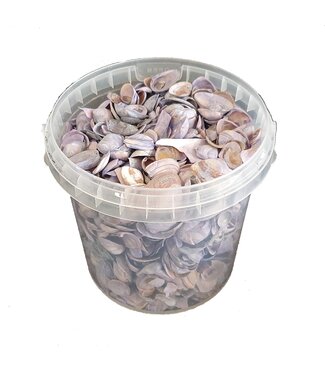 QC Matte purple shells from the North Sea | Mix of matte purple painted shells | 1 litre per bucket | Per 6 buckets
