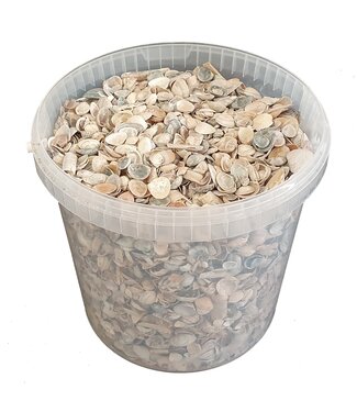 QC Matte white shells from the North Sea | Mix of matte white painted shells | 10 litres per bucket | Per bucket