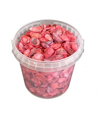 QC Red shells from the North Sea | Mix of red-painted shells | 1 litre per bucket | Per 6 buckets