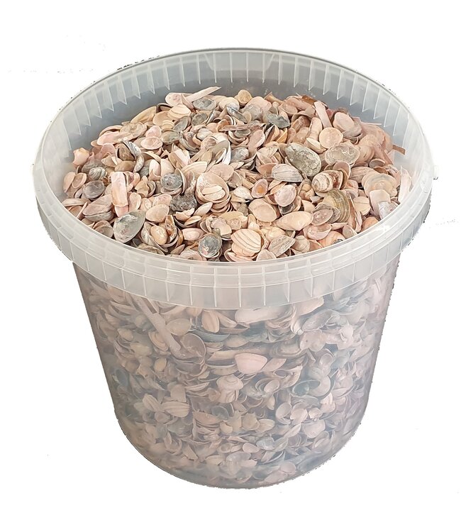 Matte pink shells from the North Sea | Mix of matte pink painted shells | 10 litres per bucket | Available to order per bucket