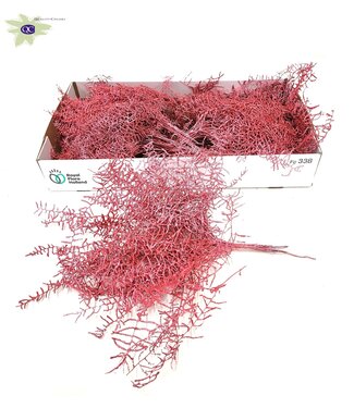 QC Reserved Coral Fern | 10 stems per bunch | Metallic red | Per 10 bunches