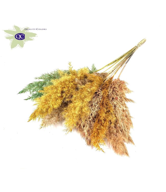 Easter mix Pampas grass plumes various colours | 10 plumes per bunch | Length 60 centimetres | Order per 6 bunches