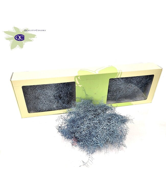 Metallisch blau konservierter Korallenfarn | 10 Stiele pro Bund | Pro 30 Bunde bestellbar
