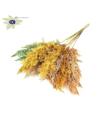 QC Easter mix Pampas grass panicles various colours | Length 70 centimetres | 6 bunches x 10 panicles