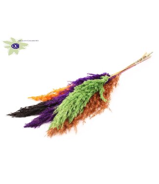 QC Halloween Pampas grass plumes mixed colours | Length 70 centimetres | 6 bunches x 10 plumes