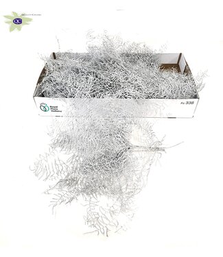 QC Fougère de corail préservée argentée avec paillettes | Par 10 bouquets x 10 tiges