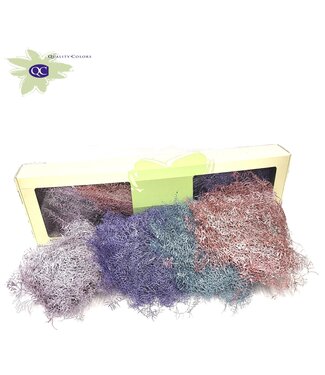 QC Fougère de corail préservée couleurs mélangées métalliques | Par 30 bouquets x 10 tiges