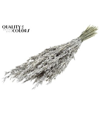 QC Gedroogde haver platinakleurig met glitters | Avena droogbloemen | Lengte 60 centimeter | Per 6 bossen