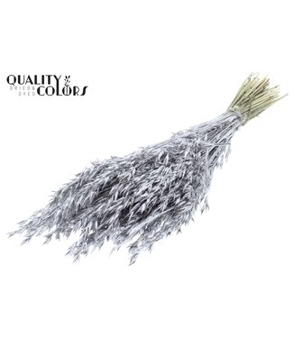 QC Dried oats silver with glitter | Avena dried flowers | Length 60 centimetres | Per 6 bunches