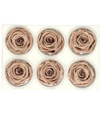 4A Light brown reserved roses | Diameter 6 centimetres | Per 6 pieces