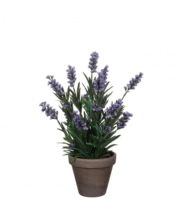 Middenblauwe Lavendel kunstplant in pot | Min. diameter 11 centimeter max. diameter 20 centimeter | Hoogte 33 centimeter | Per 6 stuks te bestellen