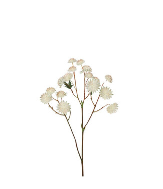 4A Kunstbloemen Astrantia 62cm | Per 4 stuks