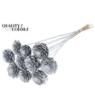 QC Pine cone cut 5-7cm on stem Silver ( x 50 )