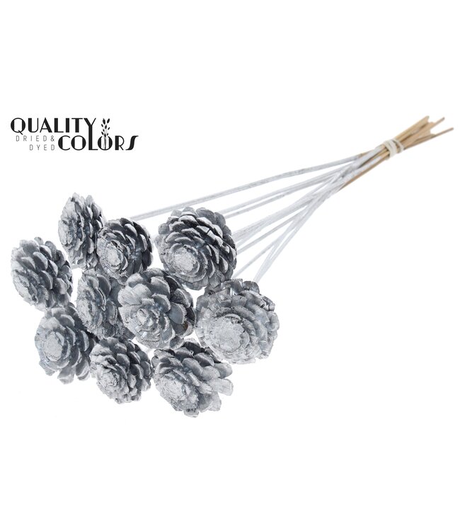 Pine cone cut 5-7cm on stem Silver ( x 50 )