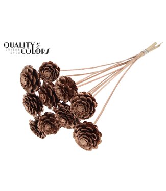 QC Pine cone cut 5-7cm on stem Copper ( x 50 )