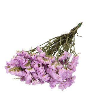 4A Fliederfarbene getrocknete Limonium | Statice Trockenblumen | Länge 70 Zentimeter | Pro Strauß