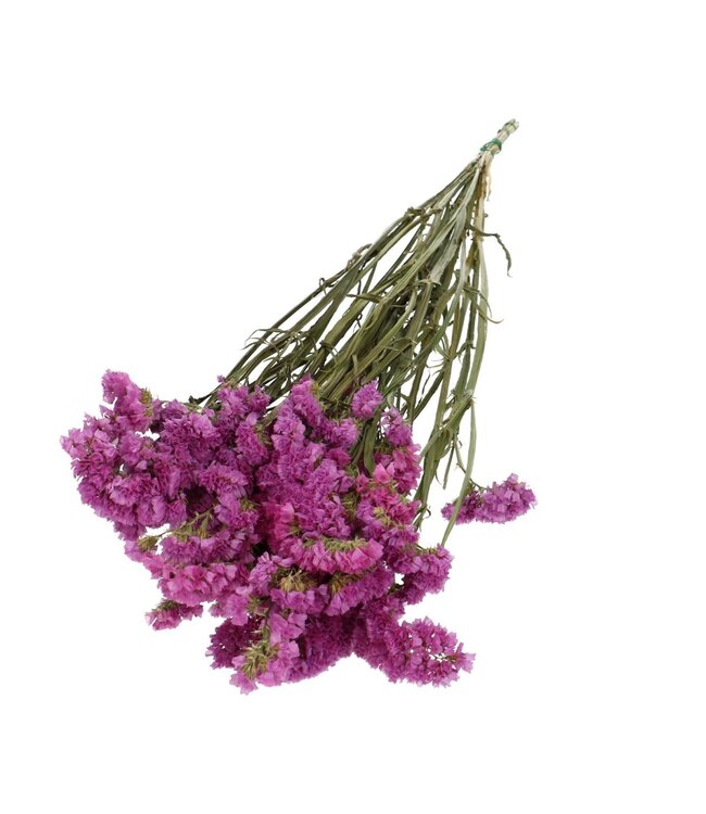 Dunkelrosa getrocknete Limonium | Statice Trockenblumen | Länge 70 Zentimeter | Bestellung pro Strauß