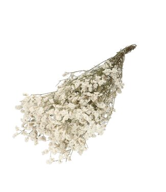 4A Witte gedroogde Limonium diamond | Statice droogbloemen | Lengte 70 centimeter | Per bos