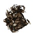 Plumes de coq naturelles | Poids 45 grammes | Commande par paquet