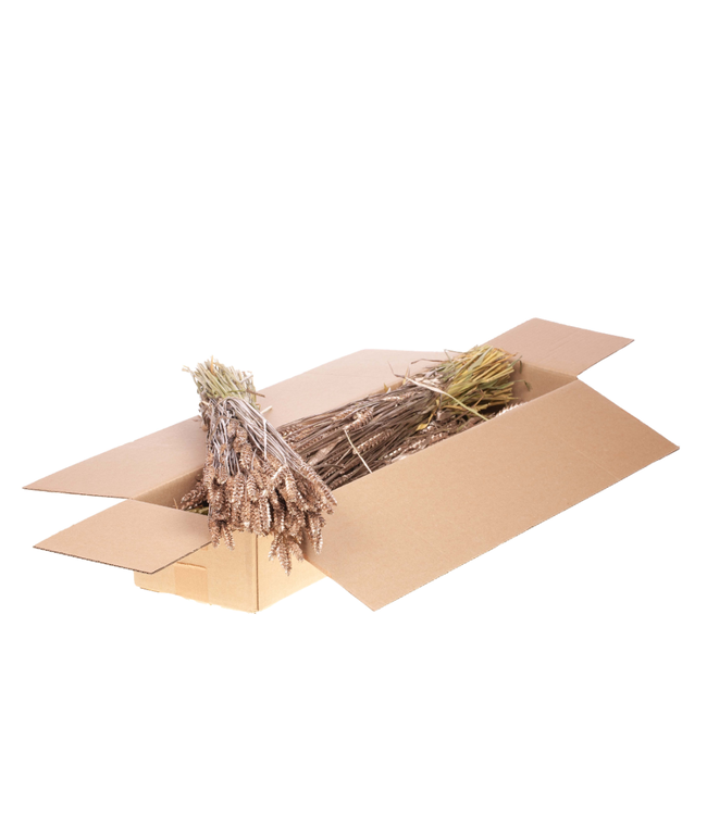 Dried wheat warm golden | Triticum dried flowers | Order per 4 bunches