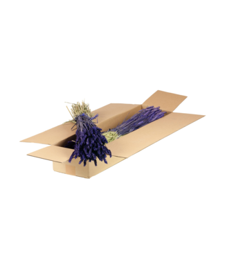 LDD Purple dried wheat | Triticum dried flowers | Per 4 bunches