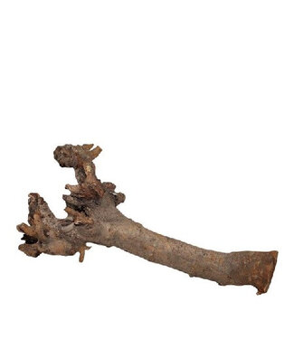 4A Natural Brown Dried Kuwa Root Deco | Length 40 centimetres | Per piece