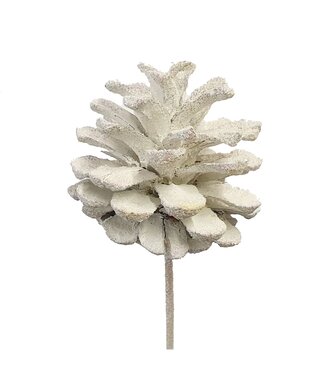 QC White pine cones with glitter side plugs on stick | Diameter 5 - 7 centimetres | Per 50 pieces