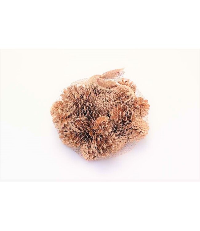 Pommes de pin or antique en filet | Poids 500 grammes | Commande par 4 filets