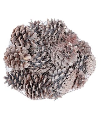 QC Matt white pine cones in a net | Weight 500 grams | Per 4 pieces