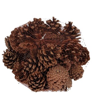 QC Natural pine cones in a net | Weight 500 grams | Per 4 pieces