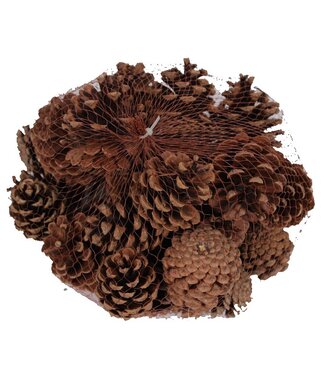 QC Naturelle dennenappels in een netje | Gewicht 500 gram | Per 4 stuks