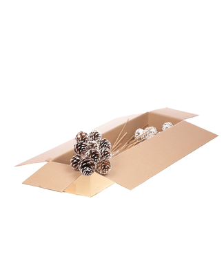 LDD Natural pine cones white tipped side plugs on stick | Diameter 5 - 7 centimetres | Per 2 pieces x 10