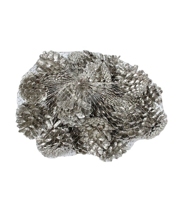 Platinum-coloured pine cones in a net | Weight 500 grams | Order per 4 nets