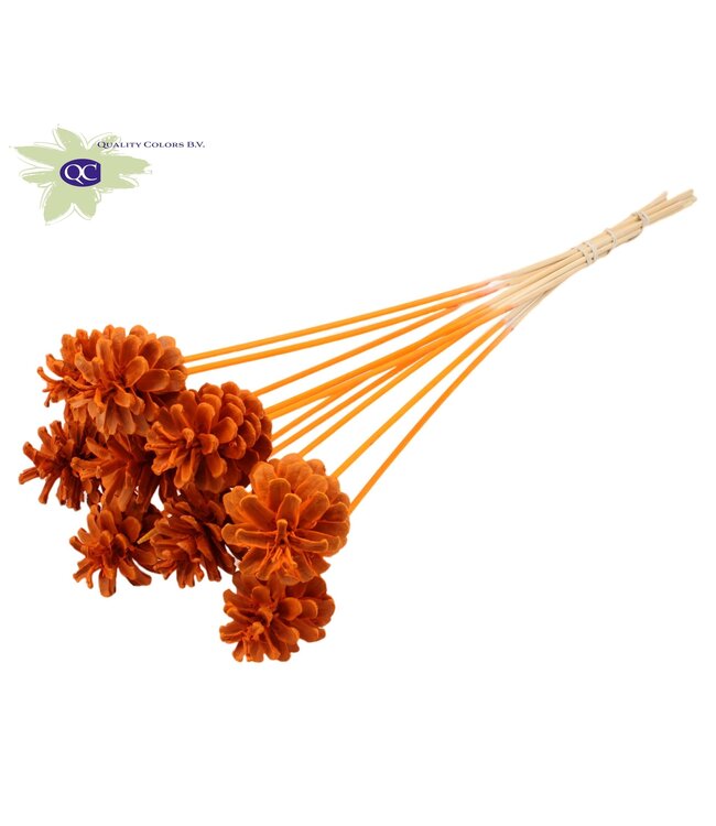 Intense orange pine cones side plugs on stick | Diameter 5 - 7 centimetres | Order per 50 pieces