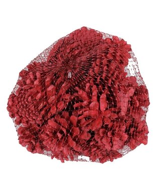QC Pommes de pin rouges en filet | Poids 500 grammes | Par 4 pièces