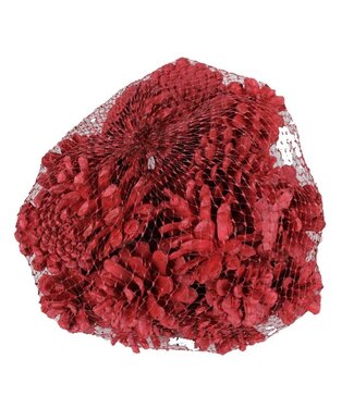 QC Red pine cones in a net | Weight 500 grams | Per 4 pieces